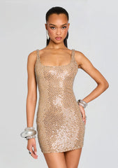 Theolonia Sequin Dress
