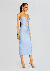 Lily Lycra Maxi Dress