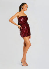 Nolia Sequin Embellished Dress
