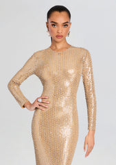 Monette Sequin Dress